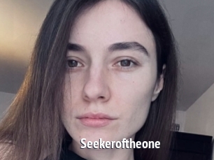Seekeroftheone