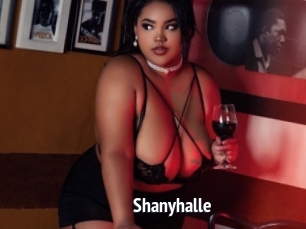 Shanyhalle