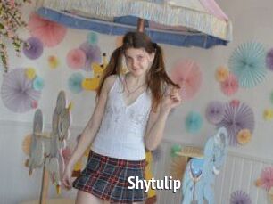 Shytulip