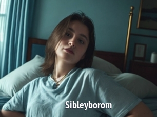 Sibleyborom