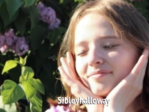 Sibleyhalloway