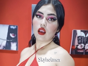Skyholmes