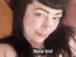 Skylar_bird