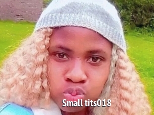Small_tits018