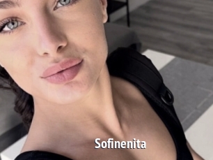Sofinenita