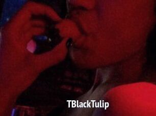 TBlackTulip