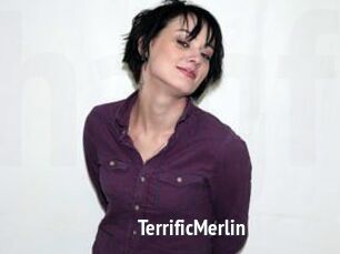 TerrificMerlin