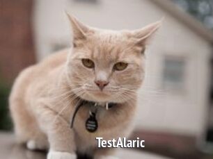 TestAlaric