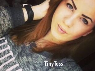 TinyTess
