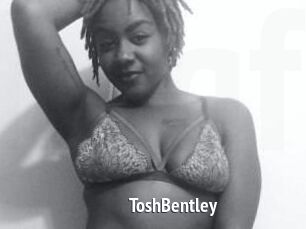 Tosh_Bentley