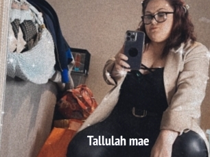 Tallulah_mae