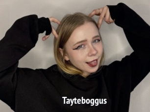 Tayteboggus