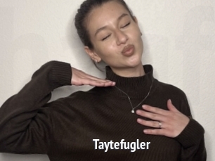Taytefugler