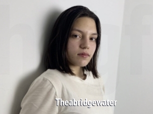 Theabridgewater
