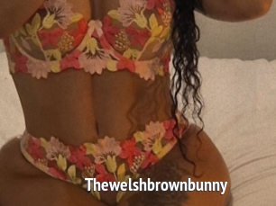 Thewelshbrownbunny