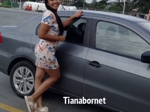 Tianabornet