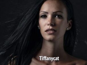 Tiffanycat