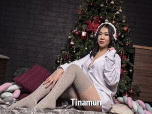 Tinamun