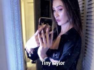 Tiny_taylor