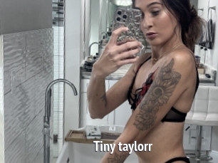 Tiny_taylorr