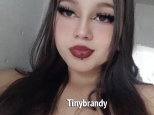 Tinybrandy