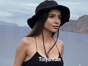 Tinydream