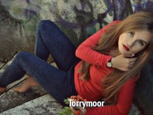 Torrymoor