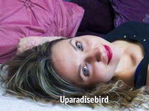 Uparadisebird