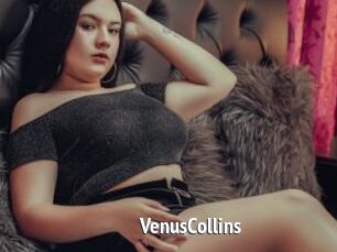 VenusCollins