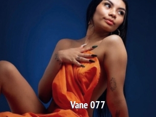 Vane_077