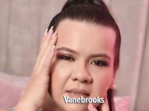 Vanebrooks