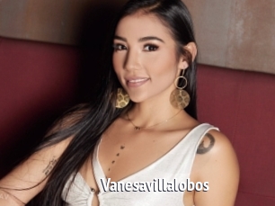 Vanesavillalobos
