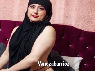 Vanezabarrioz