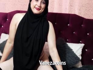 Vanezacoins