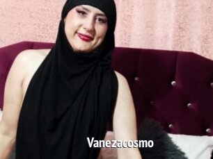 Vanezacosmo
