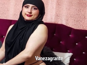 Vanezagrante