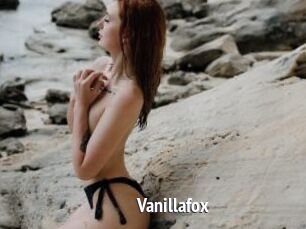 Vanillafox