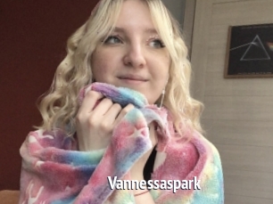 Vannessaspark