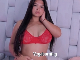Vegaburning