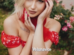 Velunavice