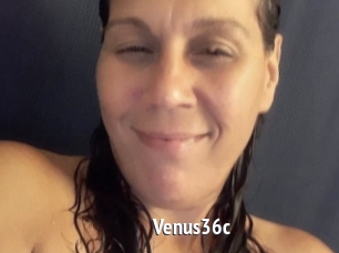 Venus36c