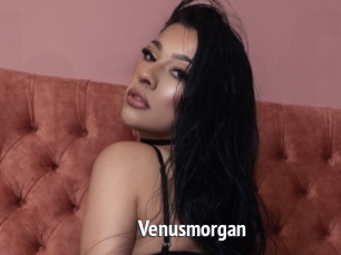 Venusmorgan