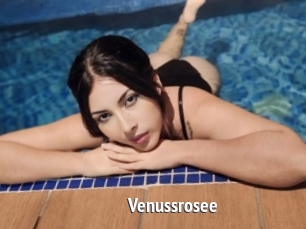 Venussrosee