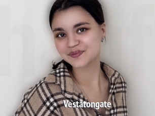 Vestatongate