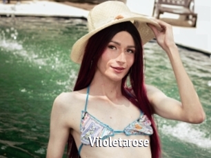 Viioletarose