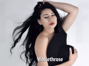 Viiolethrose