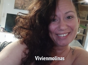 Vivienmolinas