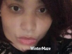 Winter_Maze