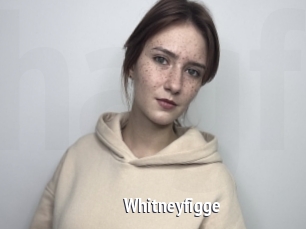Whitneyfigge