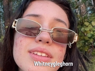 Whitneygleghorn